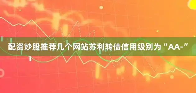 配资炒股推荐几个网站苏利转债信用级别为“AA-”