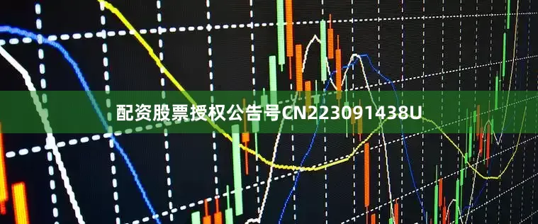 配资股票授权公告号CN223091438U