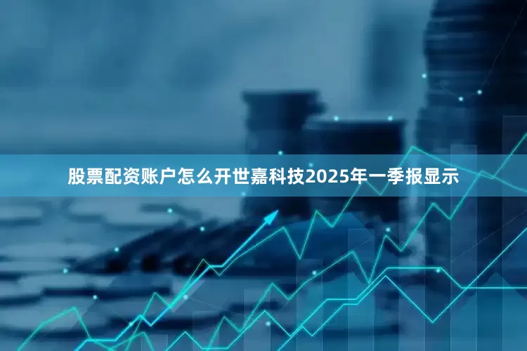 股票配资账户怎么开世嘉科技2025年一季报显示
