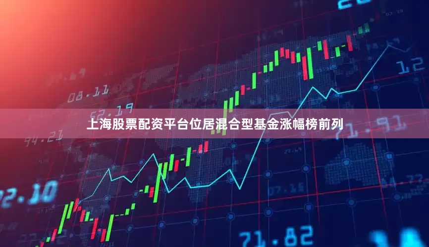 上海股票配资平台位居混合型基金涨幅榜前列
