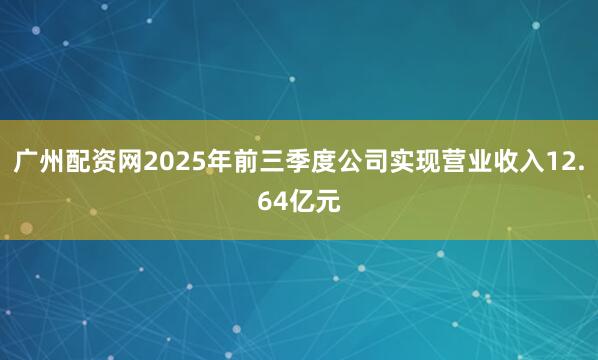 广州配资网2025年前三季度公司实现营业收入12.64亿元